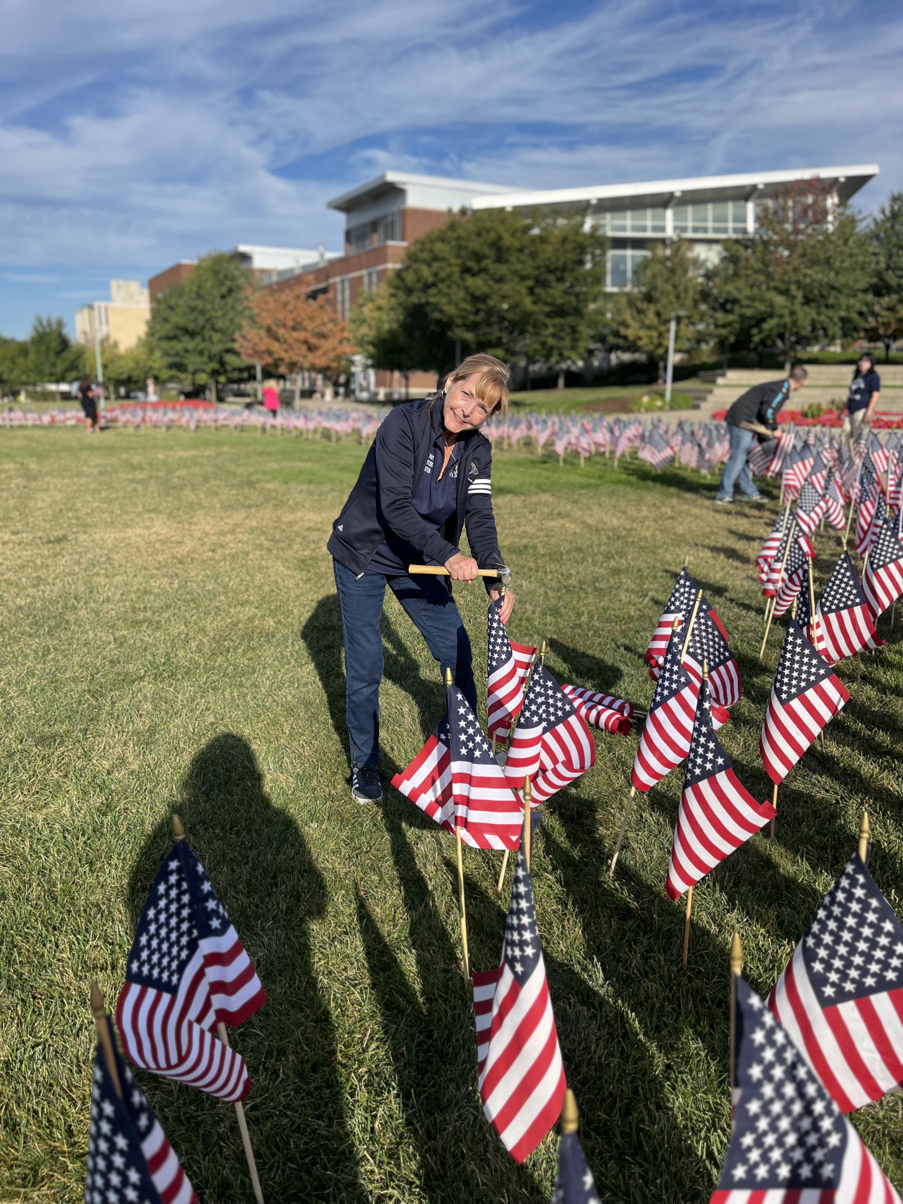 Flag display set-up